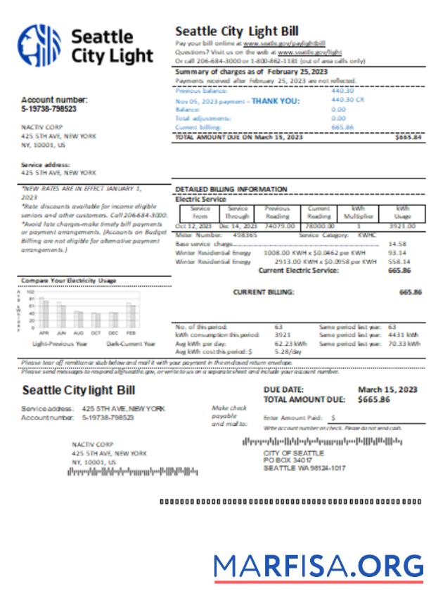 Downloadable Washington Seattle City Light utility business bill, SCR template